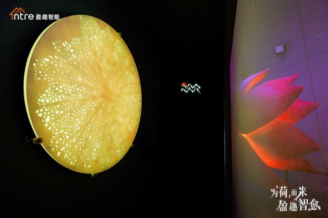 1733818281-6cca9b129563f2c 1733818281-6cca9b129563f2c