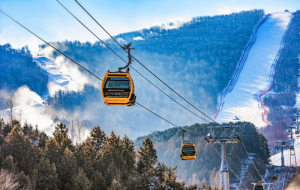 673d51234fede 673d51234fede