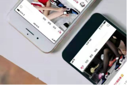 1737377591-7a9ba46cc41989c 1737377591-7a9ba46cc41989c