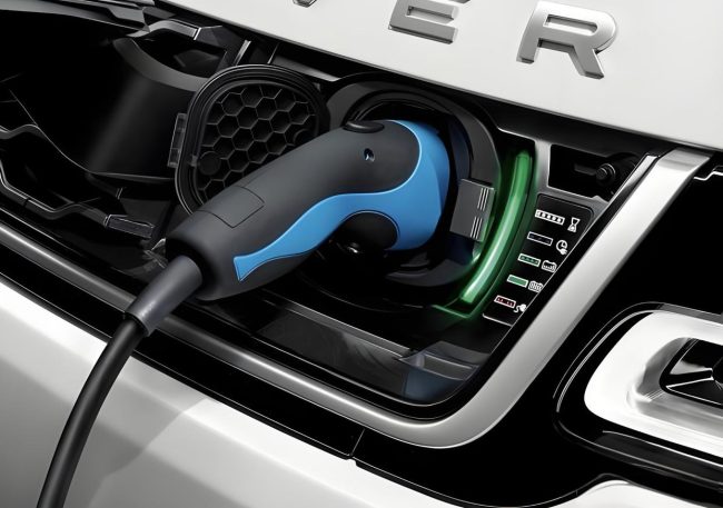 1737377757-eedf5ed705debe0 1737377757-eedf5ed705debe0